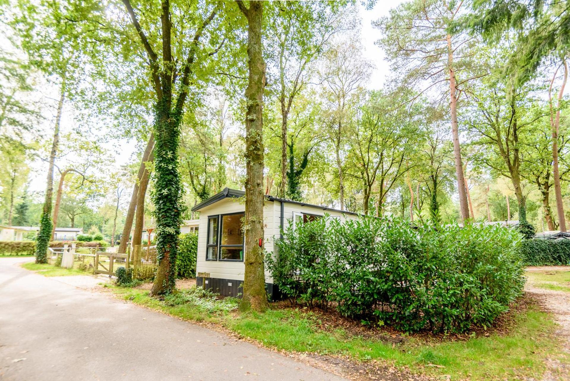 Veluwe Chalet Aan Het Bos - Kids - Pool - Dog Hoenderloo Exterior foto